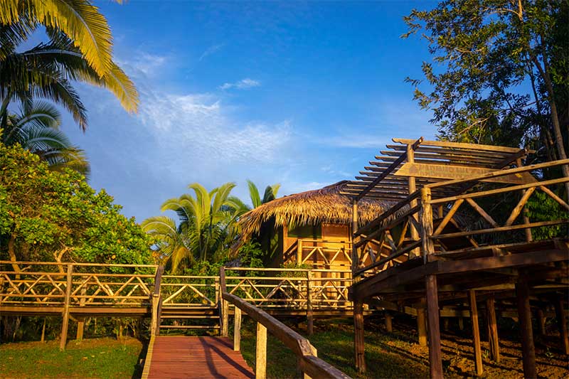 Amazon Jungle Lodge Manaus
